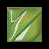 Green Blend